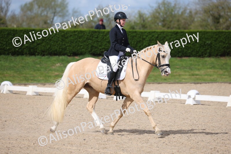 20260405-0211 - Class 3 - Novice 5