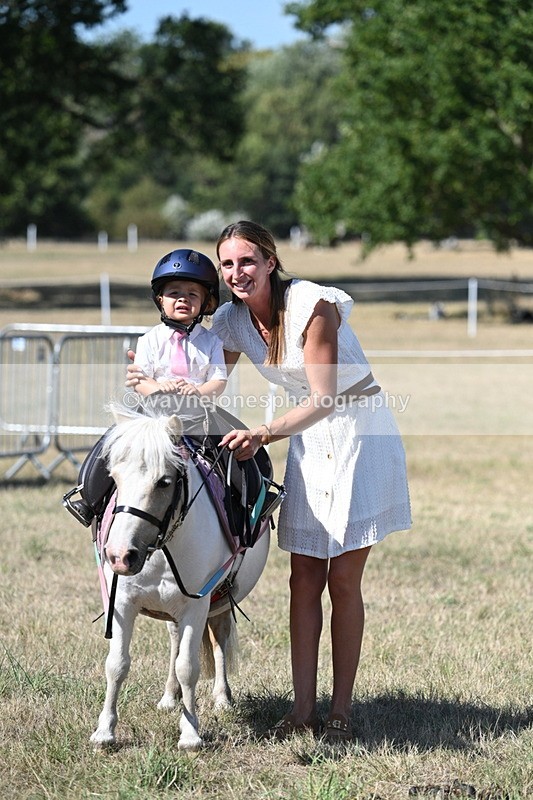 WJ7_1387 - Class 41 Prettiest Mare
