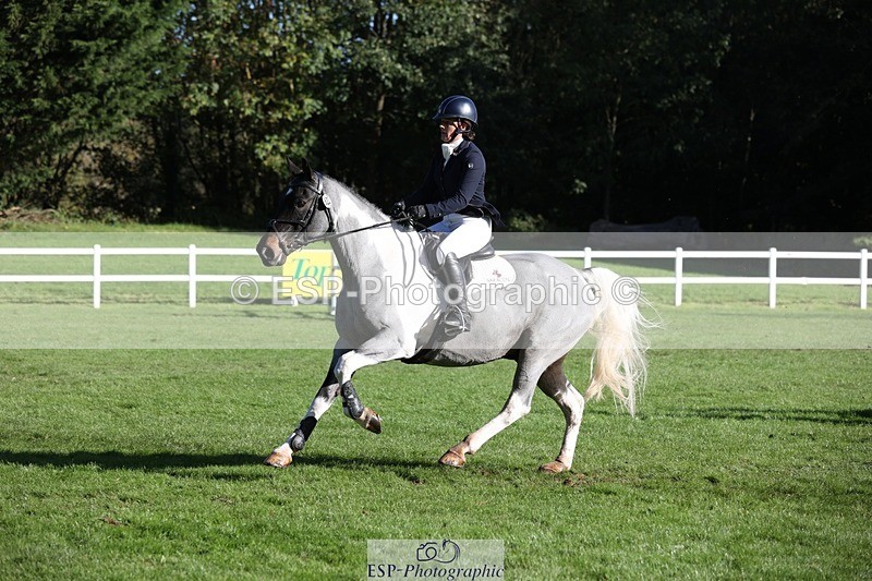 231022-110910-24989 - 622-CRAFTY.WIZARD-Heather.Urquhart-TrotUp+SJ