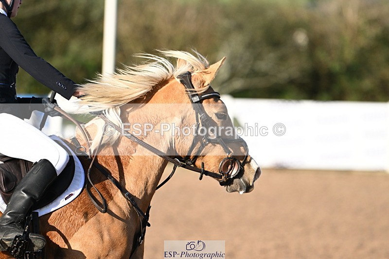 241026A-101826-00113 - SAT Cls 3 Pony Intro 70cm