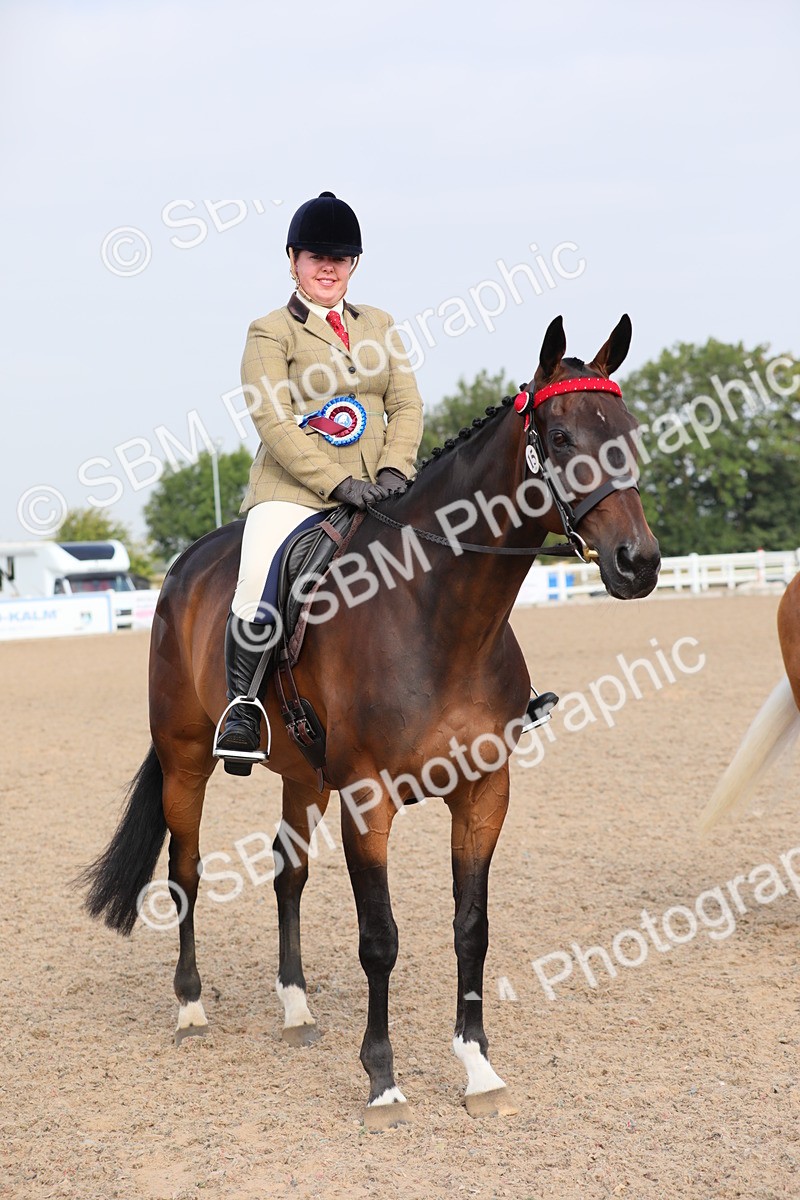 SBM_10727 - Class 303 Ridden Pure Bred Horse/Pony (excl M&M)
