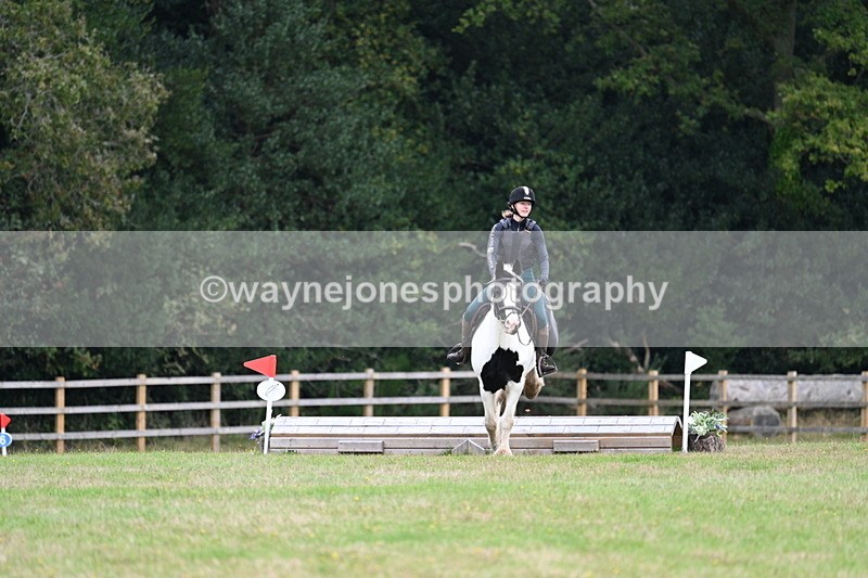 WJ7_7772 - 40cm Time 10:49 to 11:18