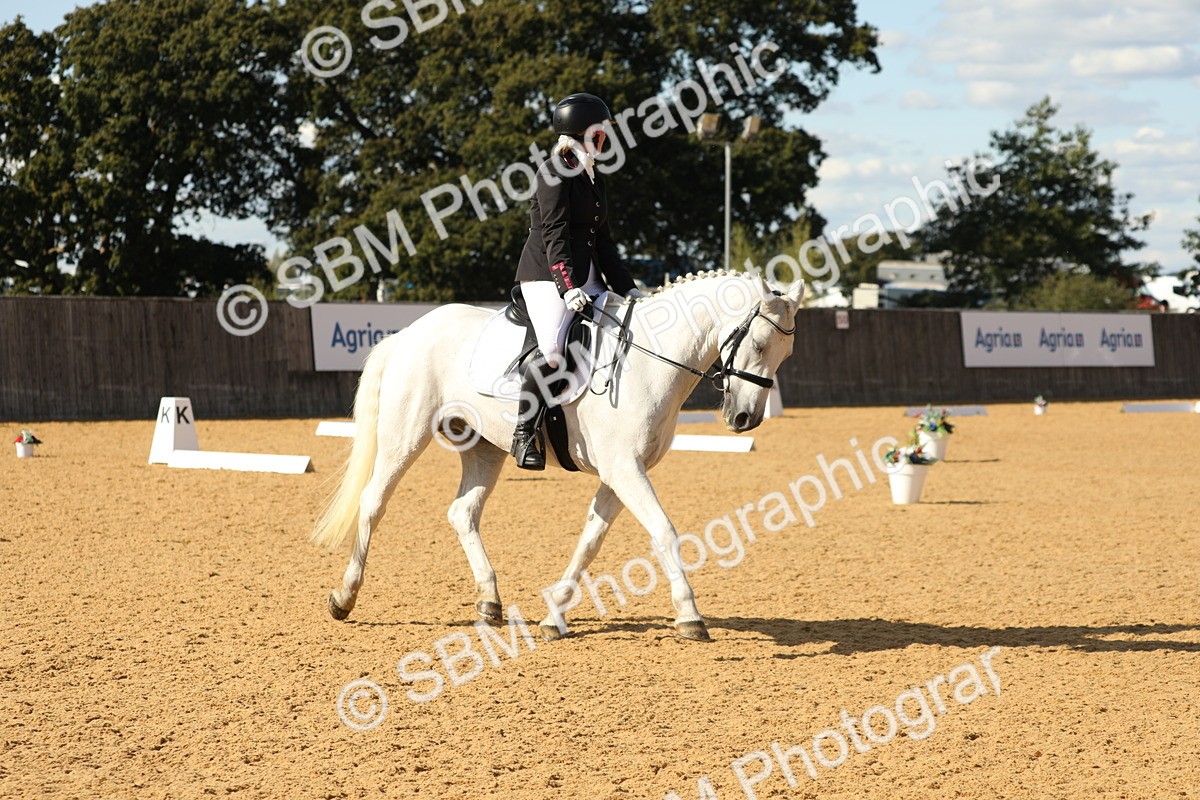SBM_26556 - D17 - Grand Tour Championship - Novice 27
