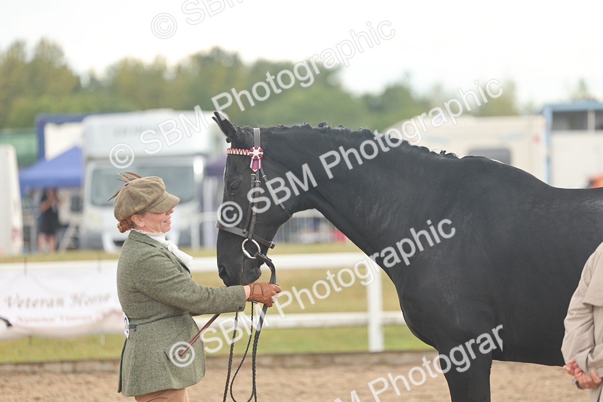 SBM_07905 - Class 28 - IH Veteran Horse