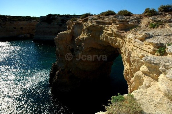Opening - Seascapes