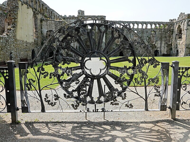 DSC00443 - Skomer 2019