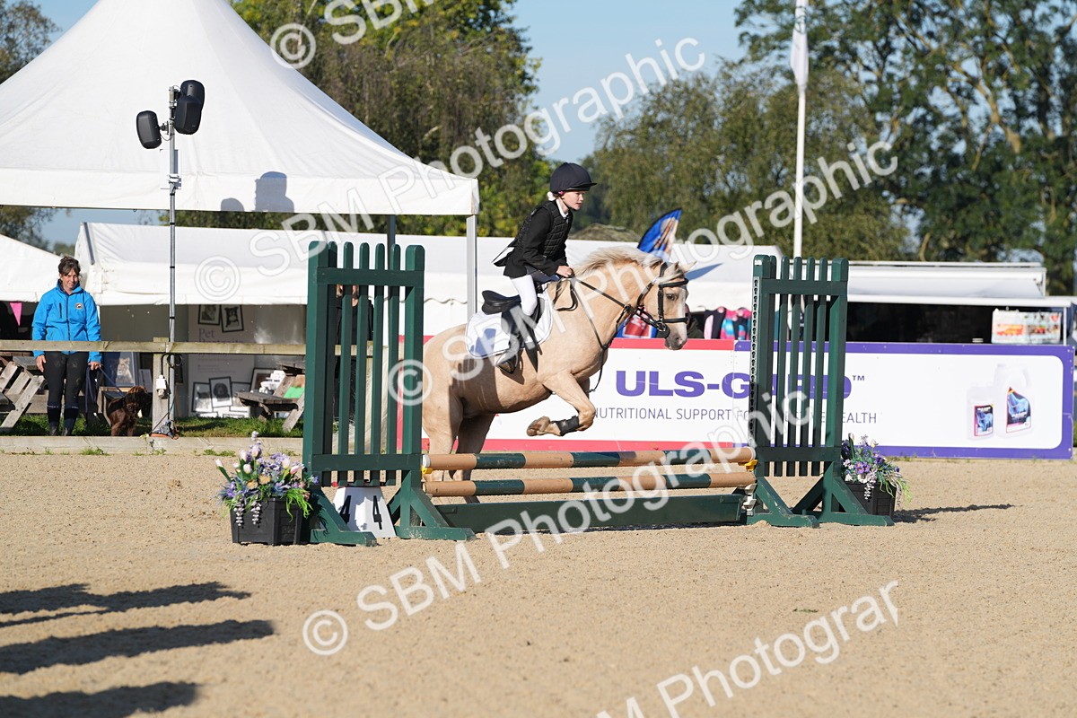 SBM_34419 - J62 - Clear Round 50cm