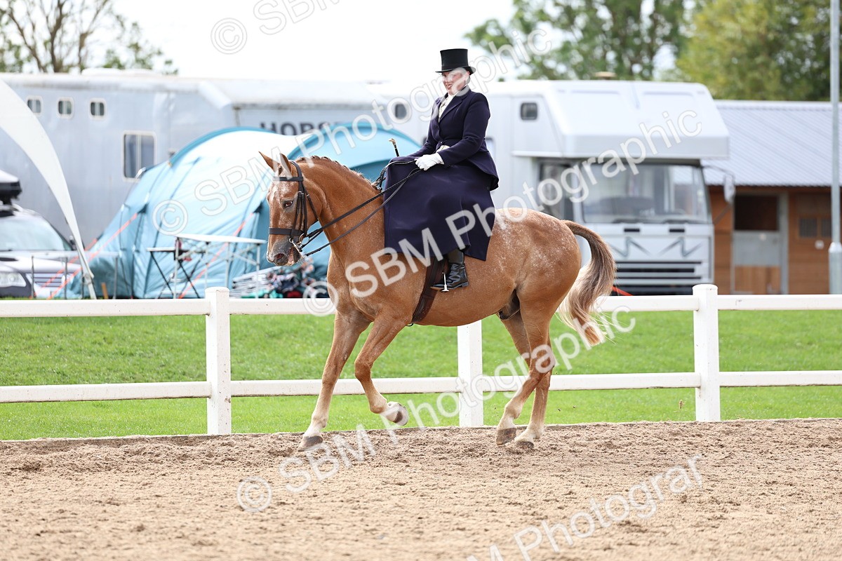 SBM_03421 - Class 24 - SSA Concours d'elegance (any age)