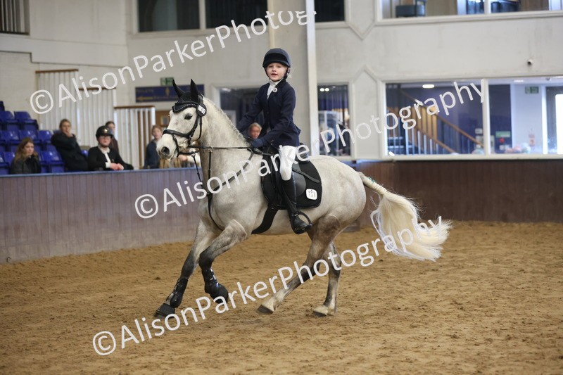 20260314-0350 - 60cm