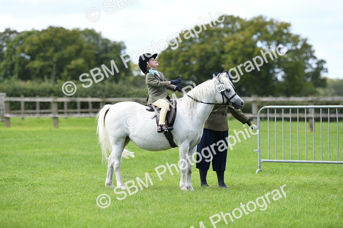 SBM_42486 - S20 - Lead Rein Mountain & Moorland Pony