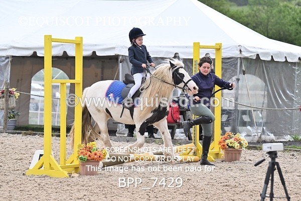 BPP_7429 - CLASS 0 CLEAR ROUND Show Jumping