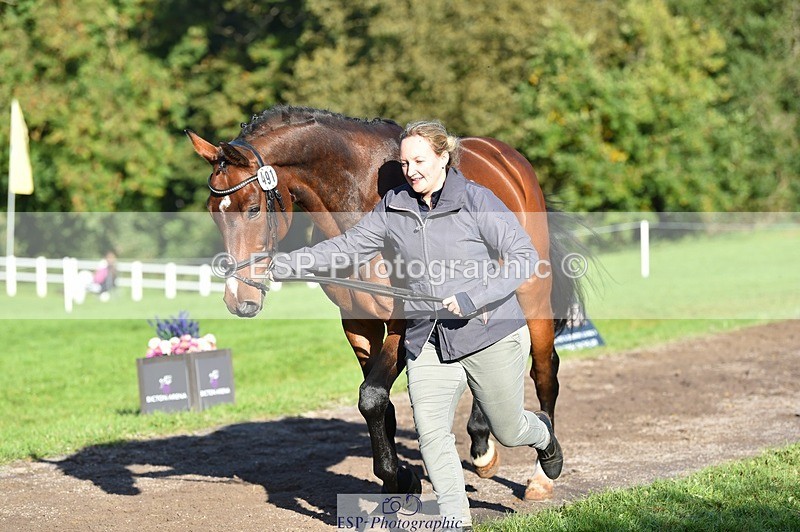 231022-103530-22590 - 491-CALCOURT.LEONARDO-Sophie.Westmore-TrotUp+SJ