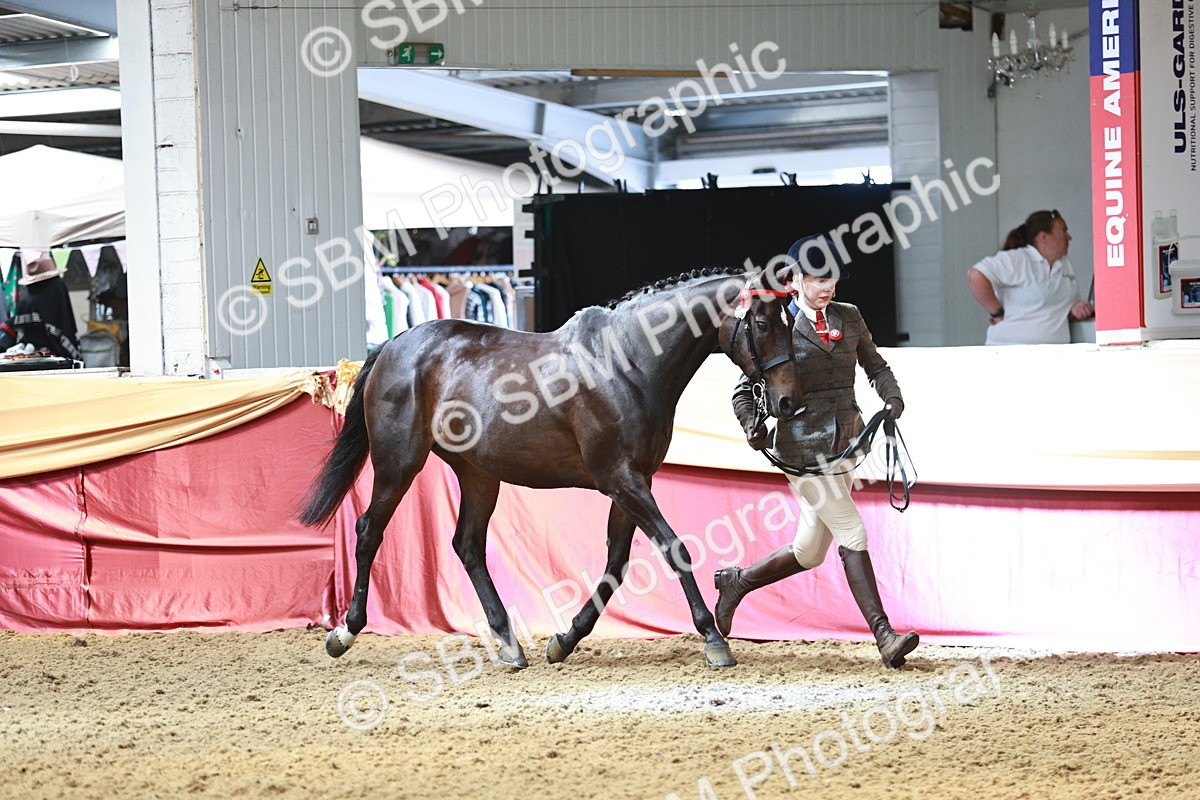 SBM_04728 - Class 7R - Regional IH Diamond