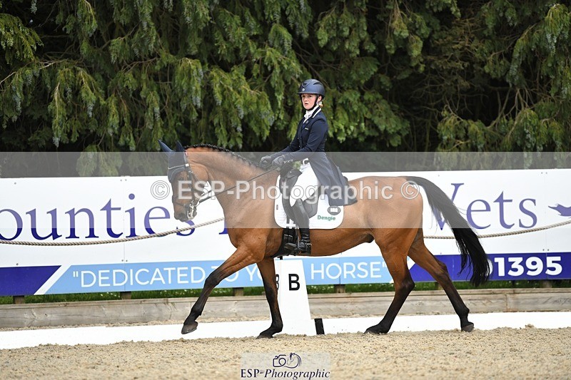 230525-154723-03309 - 329-VINTAGE_GRAFFITI-Alice_Hallows-WEDTrotUp+DR