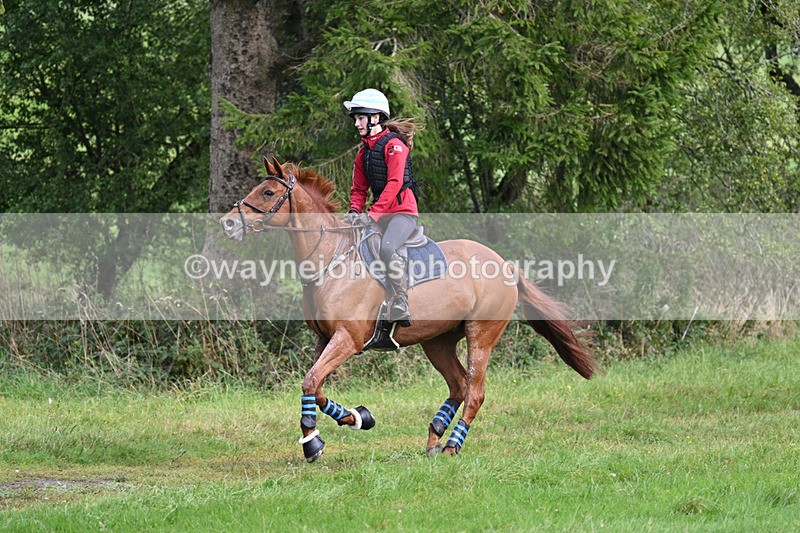 WJ7_7842 - Time 13:50 to 14:03