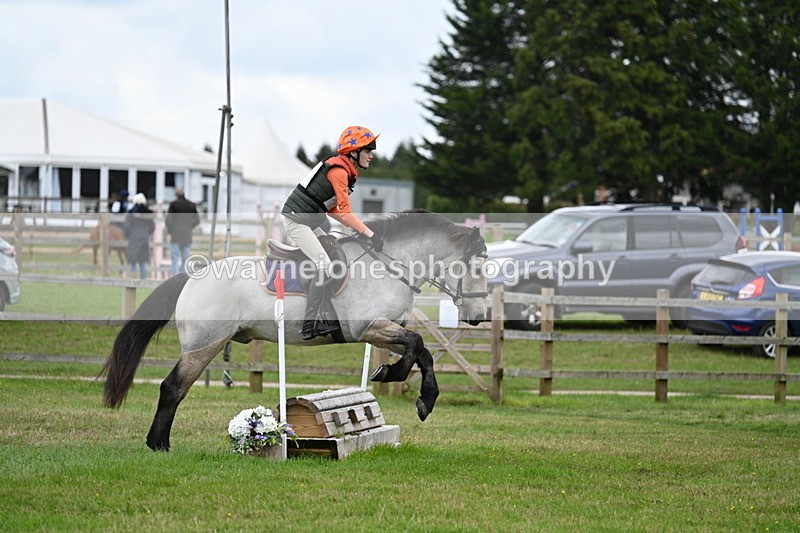 WJ7_8707 - 60cm Time 12:31 to 12:50