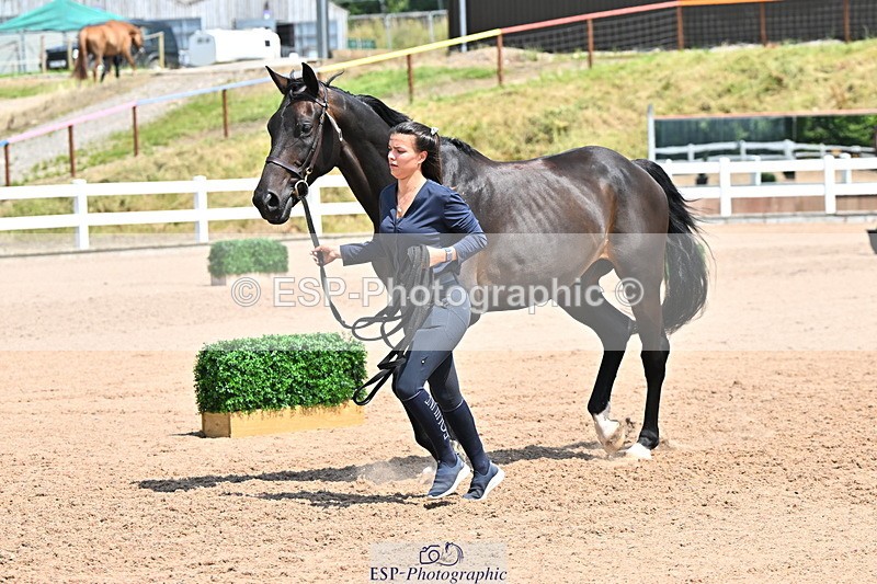 240718A-105316-01776 - Trot Up 1pm to 2pm