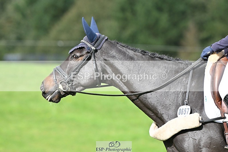 231020-124226-08448 - 657-WATERVALLEY.DIAMOND-Holly.Horton-DR