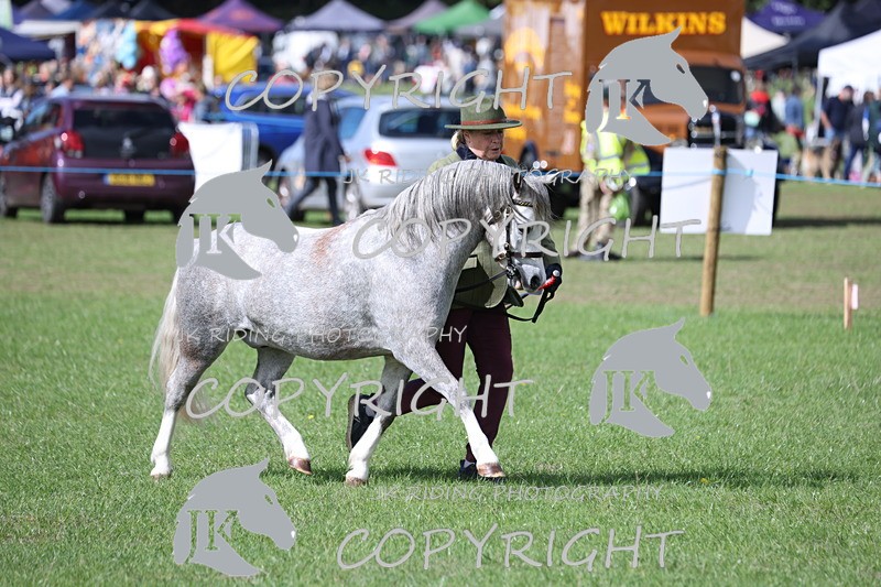 APP_3010 - Class 10a/b M&M in hand