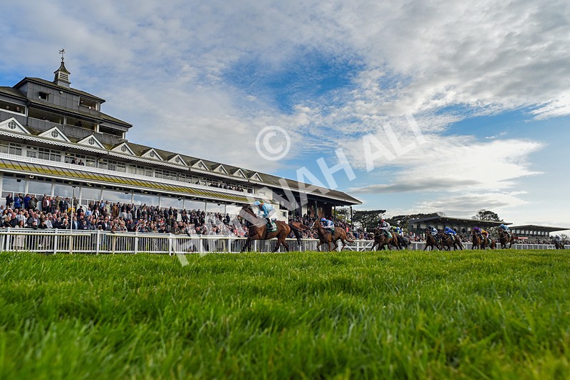 200424-Race 5-Cold Stare-7563 - Race 5