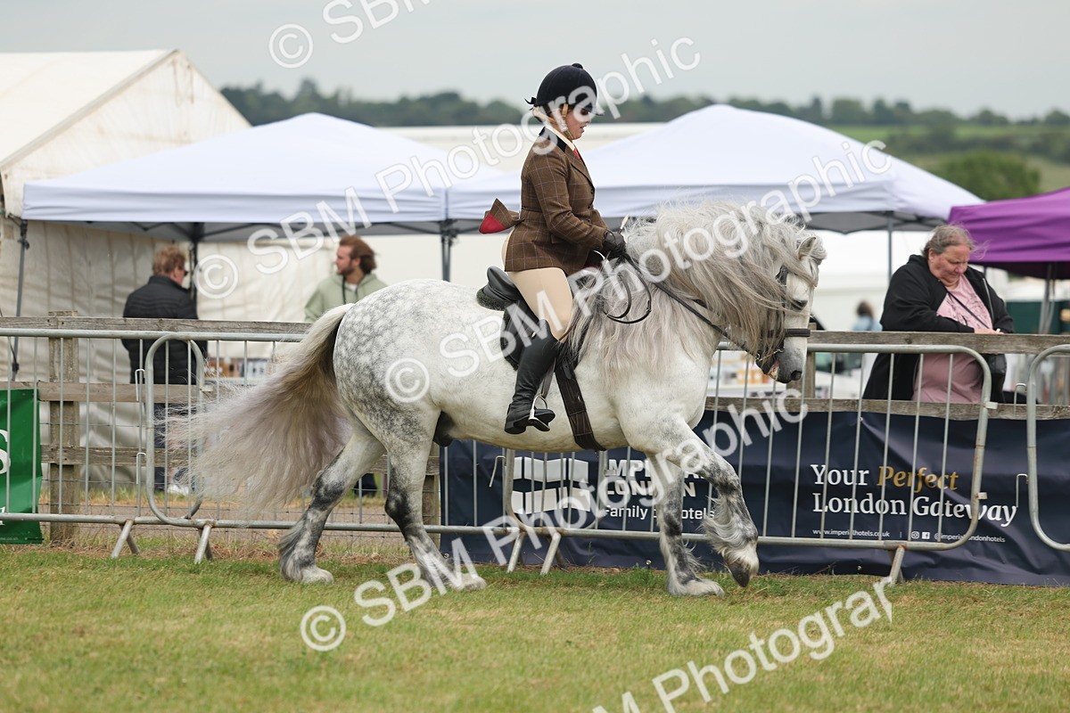 SBM_08954 - Class 78-80 - Ridden M&M Non Welsh Ponies