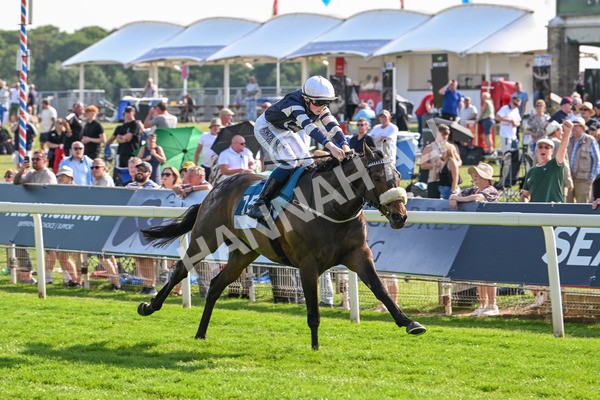 130625-Race 7-Dawn Of Liberation-0172 - Race 7 5.20pm Irish Thoroughbred Marketing Handicap