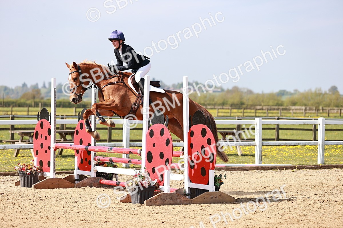  - Class 21 - Senior British Novice - 90cm