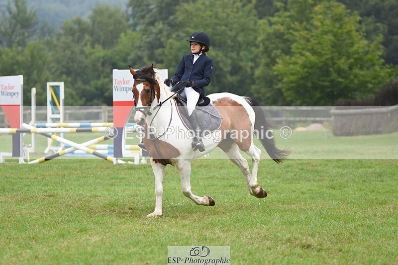 230618-110430-10689 - Cls 28 British Novice & 80cm Open