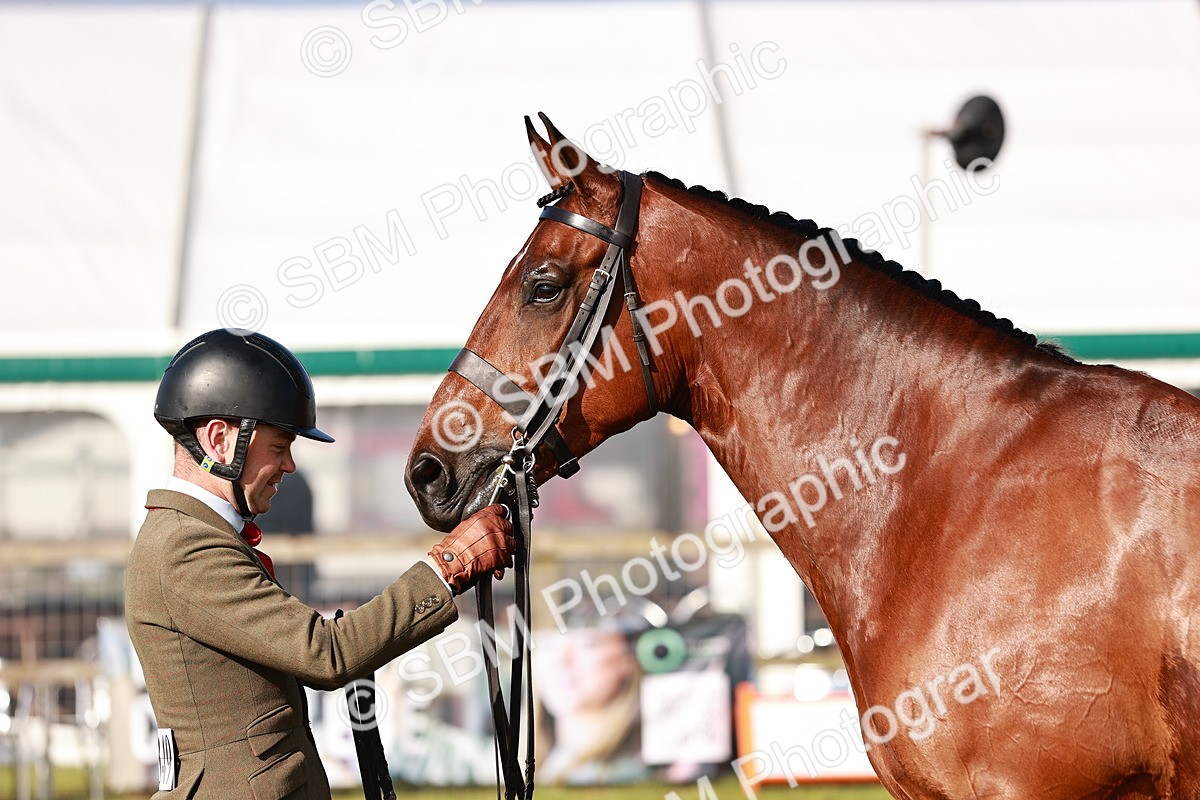 SBM_10808 - Class 81-84 - RIHS Ridden hunters Inc Ladies Hunter