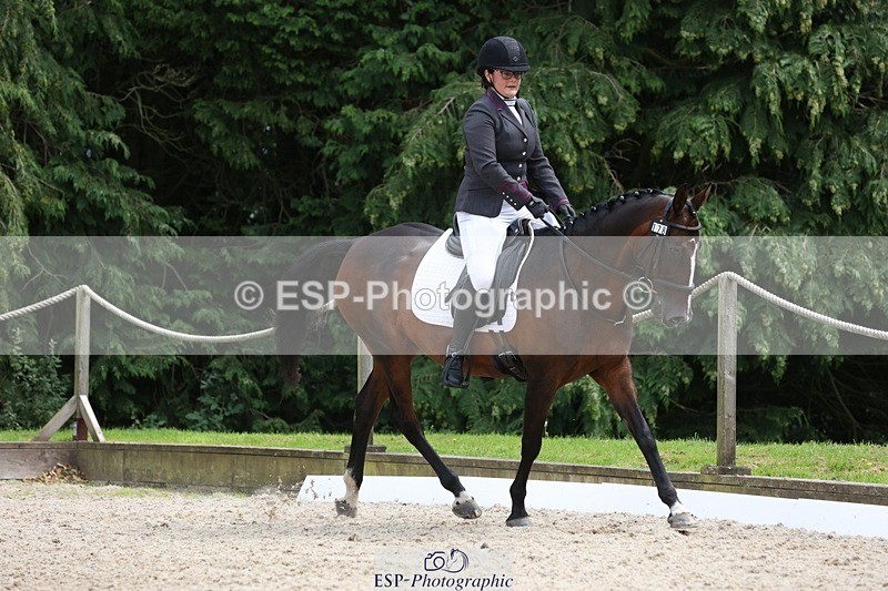 230812-135346-04340 - Cls 5 Novice Bronze 13.40 to 14.45 break