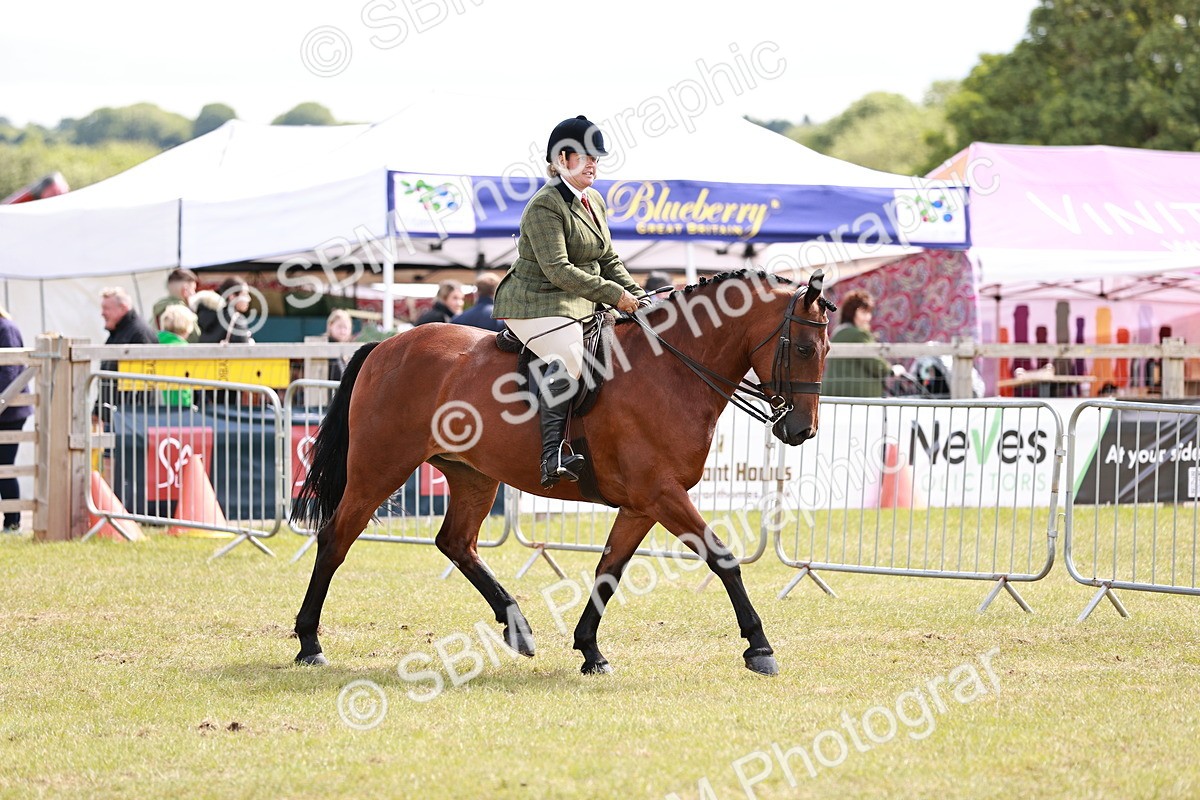 SBM_14509 - Class 88-89 - LIHS BSHA Rising Star of Ridden Hunter Type