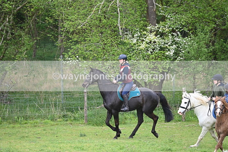 WJ6_2997 - A Camera