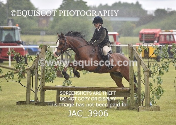 JAC_3906 - 55cm WORKING HUNTER