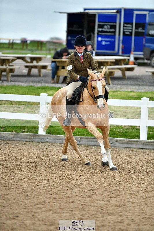230416A-134334-04928 - Cls 60 Ridden Show Horse