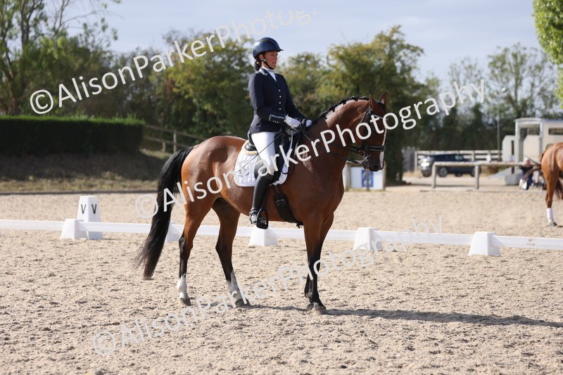 20250820-1599 - Class 21 - Advanced Medium 5