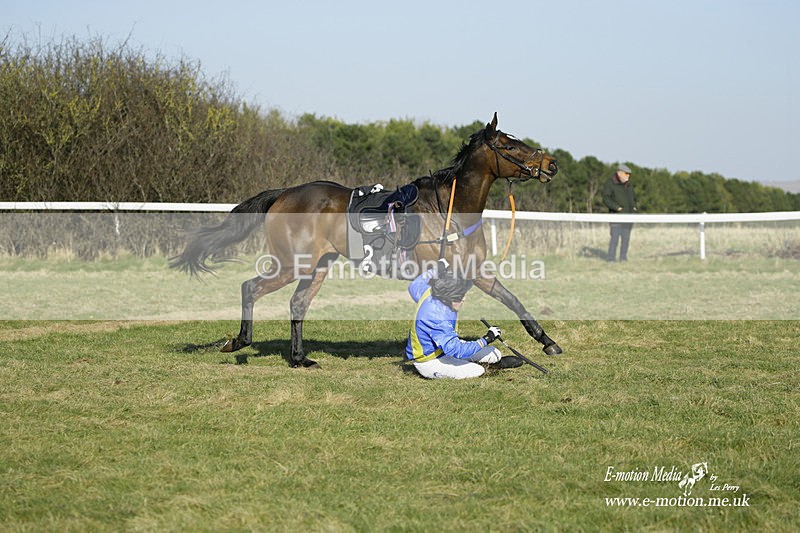PtP 270222 376 - South & West Wilts Point-to-Point Larkhill 27/02/22