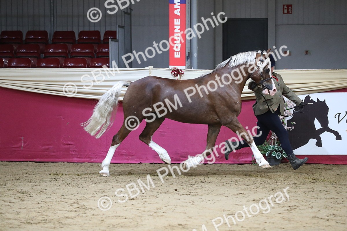 SBM_06361 - Class 9R Regional- IH Pre Vet
