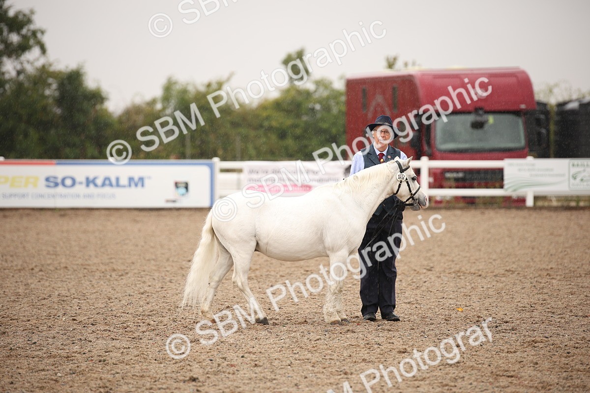 SBM_20696 - Class 705 - IH  Combination 65+