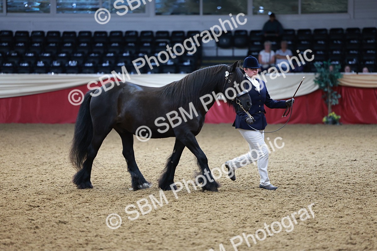 SBM_17357 - Class 951 - M&M IH Supreme Final