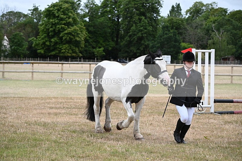 WJ6_4369 - Class 10 Coloured In-hand