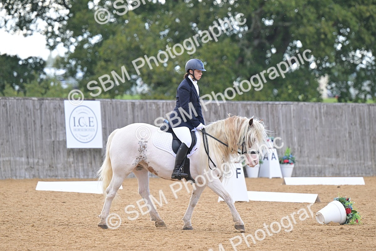 SBM_11219 - D3 - Small Tour Championship Intro 3