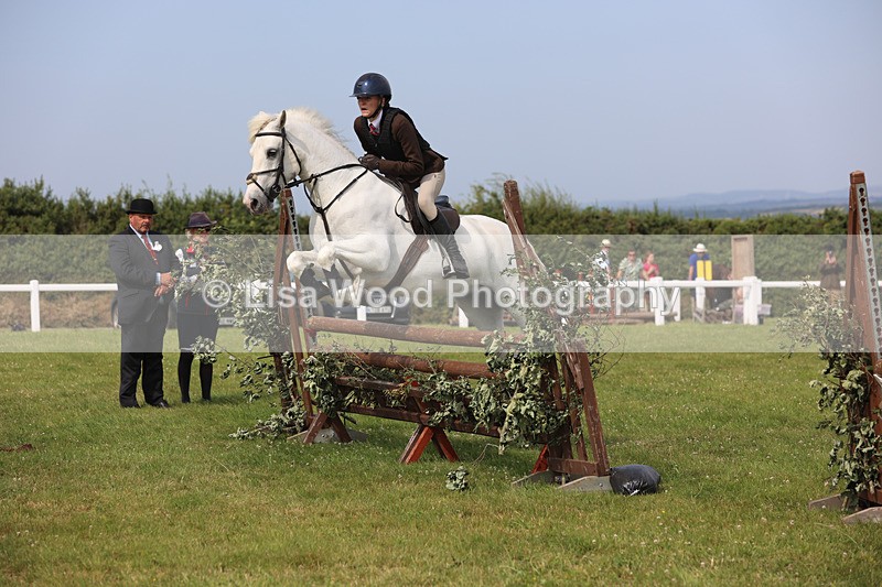 JPP_4015 - Class 24: Working Hunter 90cm