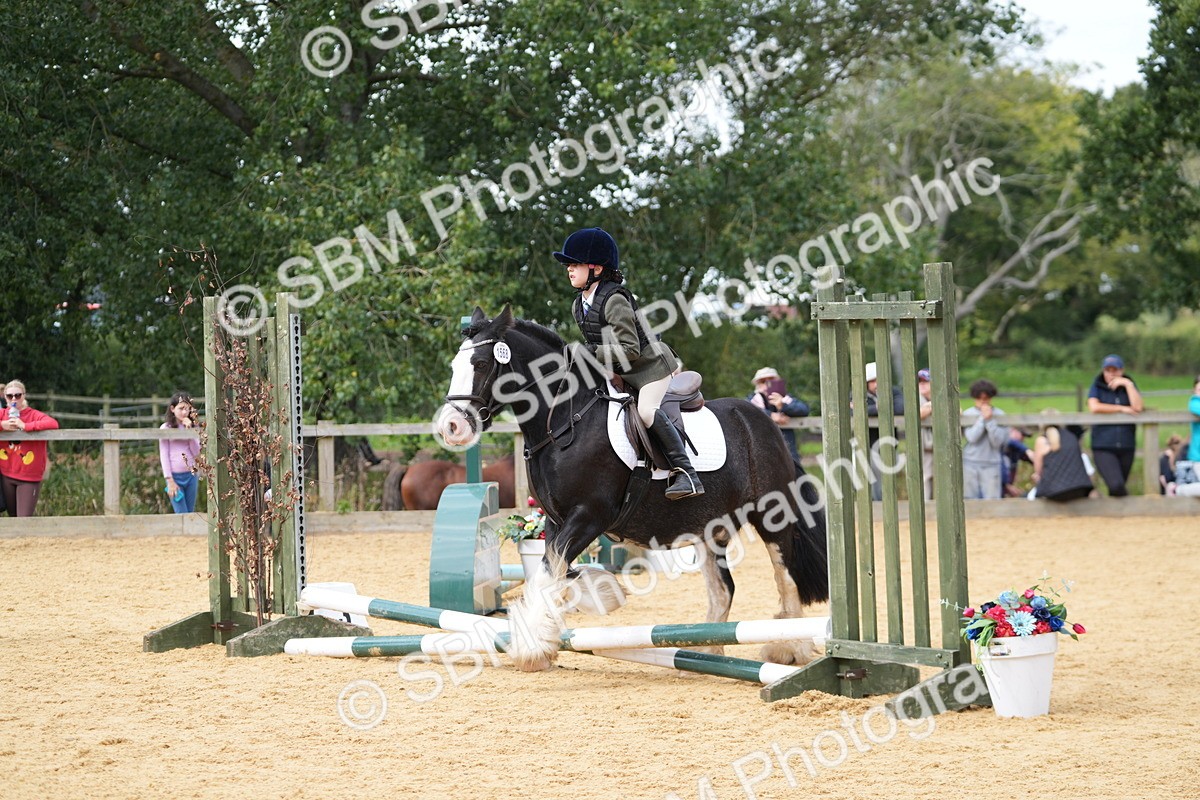 SBM_65672 - J2 - Mini Tour Junior Pony 30cm Championship