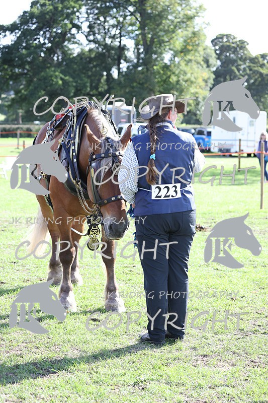 APP_4077 - Class 19 Fancy dress