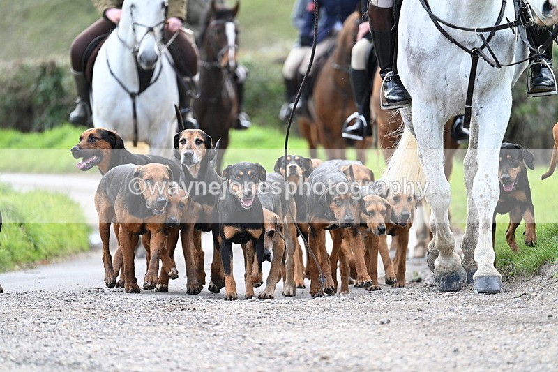 WJ7_9789 - Walk Home