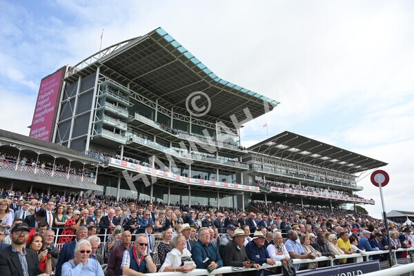 yr18082021r1-49 - Race 1 1.50pm Sky Bet & Symphony Group Stakes