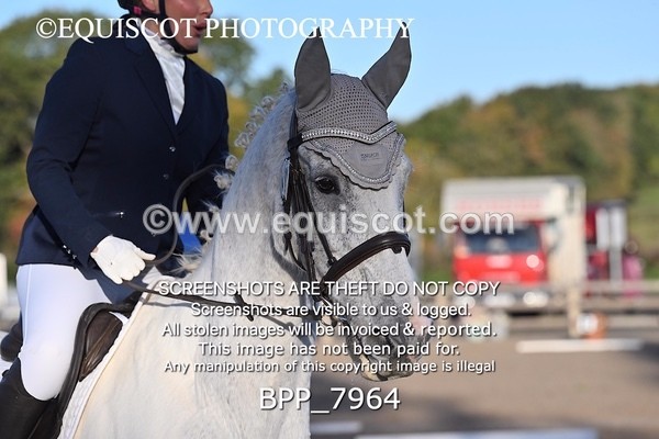 BPP_7964 - LONG ARENA