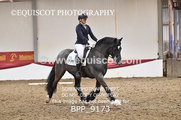 BPP_9173 - ELEM 4