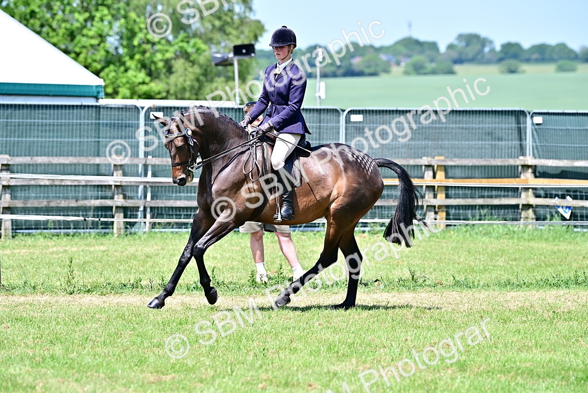 SBM_17509 - Class 95-97 - BSPS LHS Performance Ponies