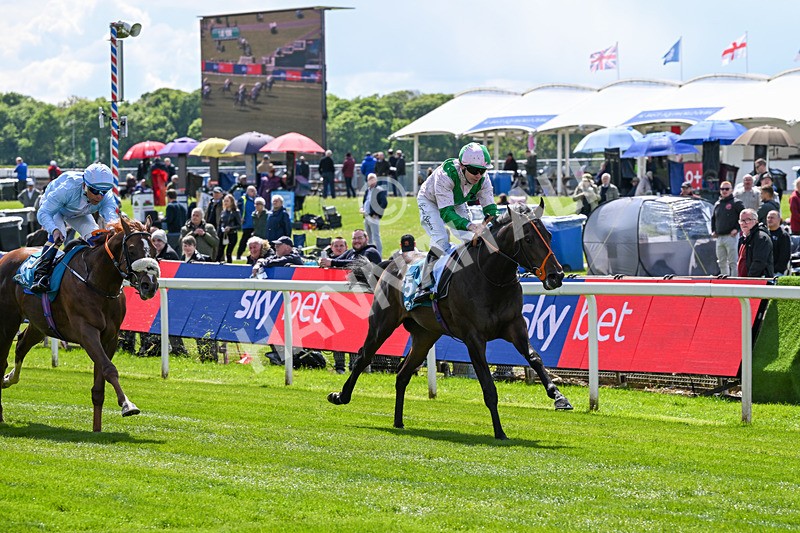 140526-Race 1-Persian Spring-4363 - Race 1 1.45pm Sky Bet ebfstallions.com Novice Stakes